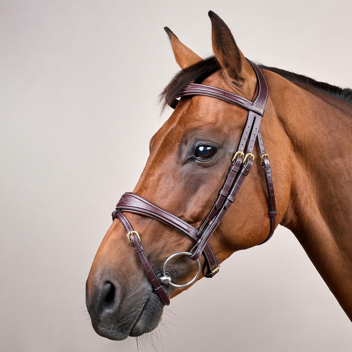 Dy'on Anatomic Flash Noseband Bridle DY