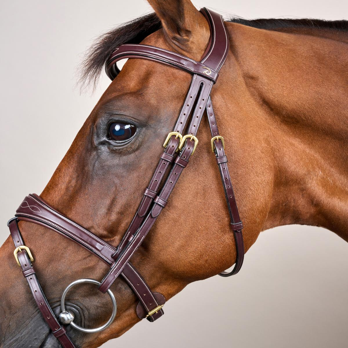 Dy'on Anatomic Flash Noseband Bridle DY