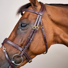 Dy'on Anatomic Flash Noseband Bridle DY