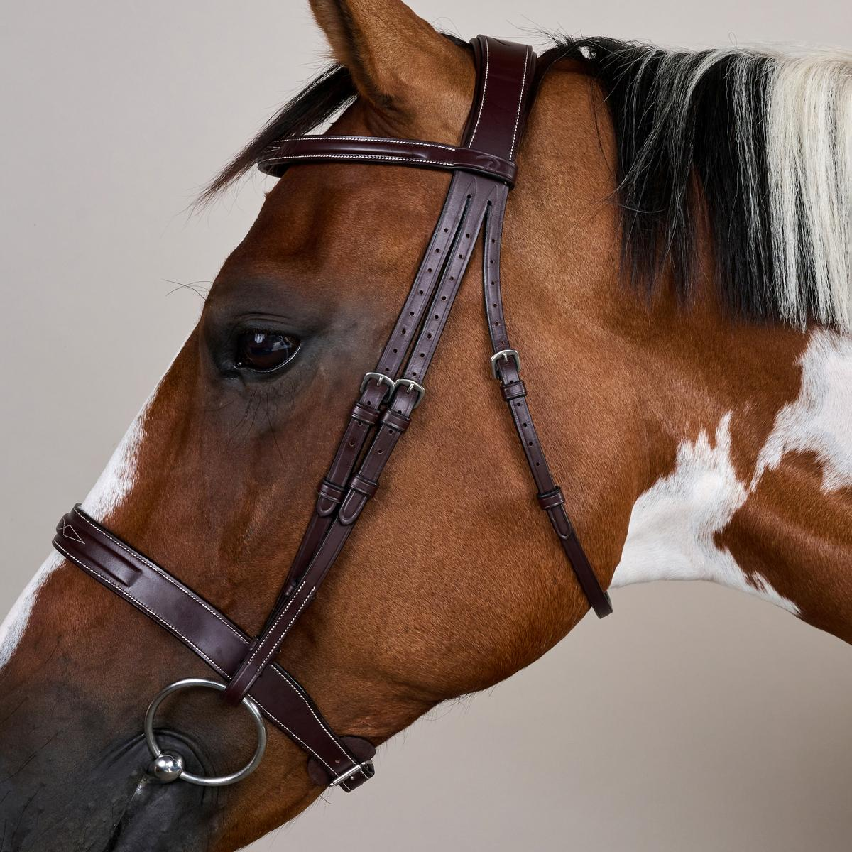 Dy'on US Collection Hunter Noseband Bridle