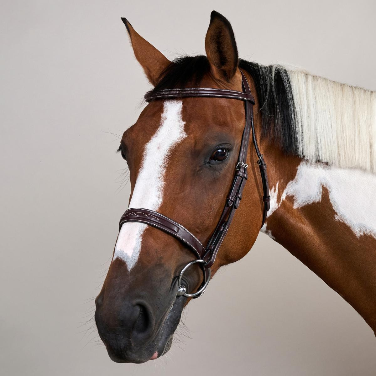 Dy'on US Collection Hunter Noseband Bridle