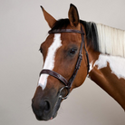 Dy'on US Collection Hunter Noseband Bridle