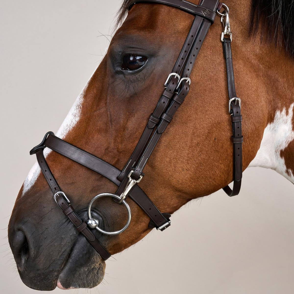 Dy'on Working Collection Flat Leather Bridle with Snap Hooks