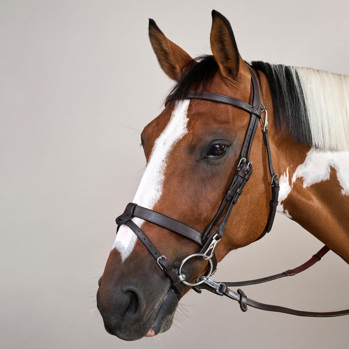 Dy'on Working Collection Flat Leather Bridle with Snap Hooks