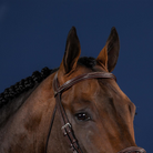 Dy'on US Collection Straight Browband