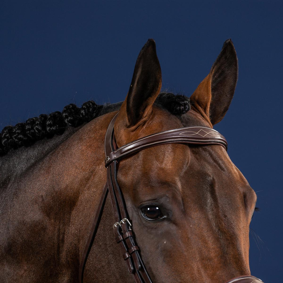 Dy'on US Collection Anatomic Browband