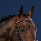Dy'on US Collection Anatomic Browband