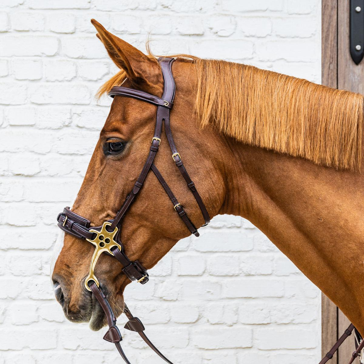 Dy'on D Collection Hackamore Bridle