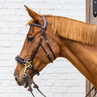 Dy'on D Collection Hackamore Bridle