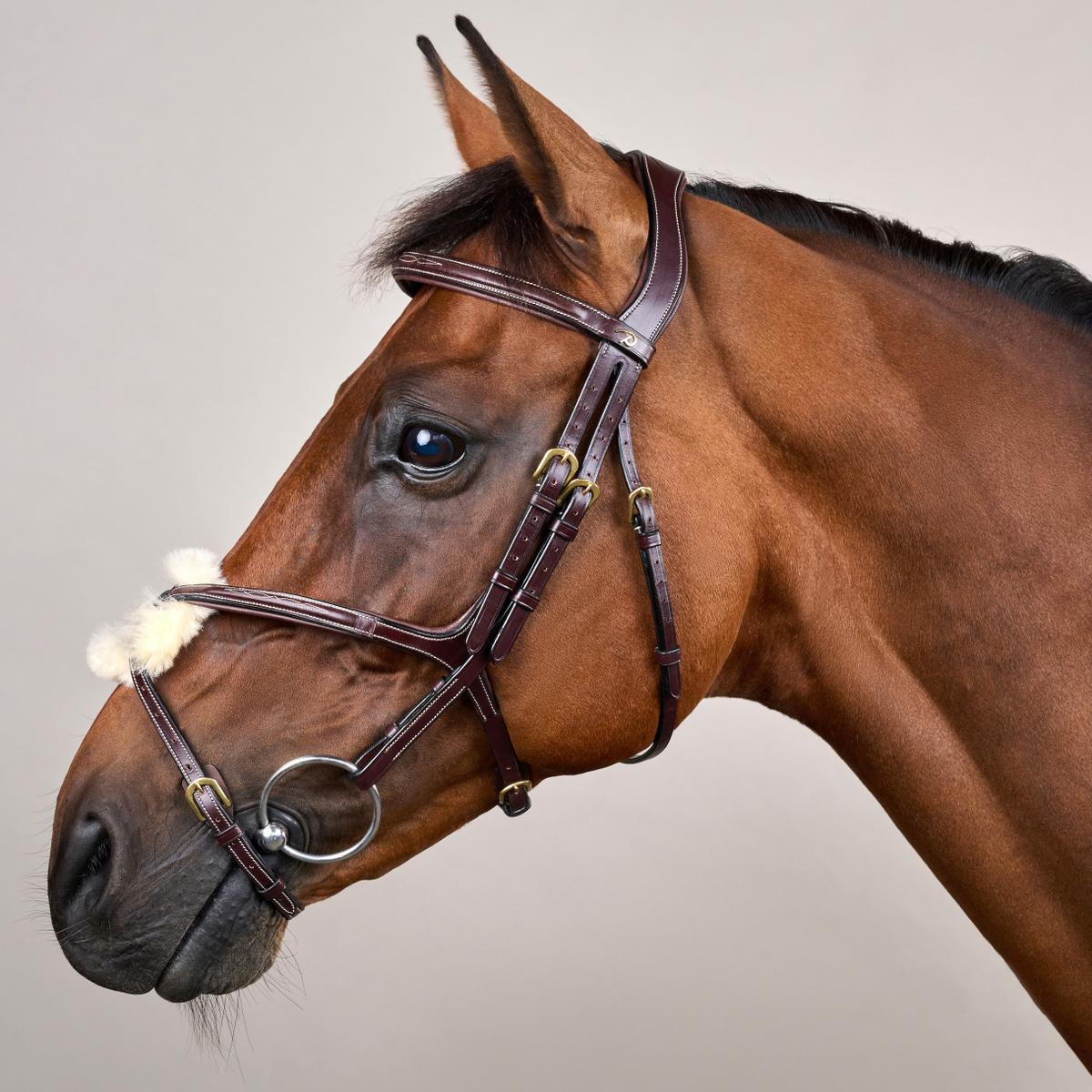 Dy'on Figure 8 Noseband Bridle DY