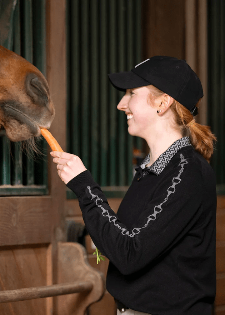 Snaffle Bits Sweater - Black/Sterling 