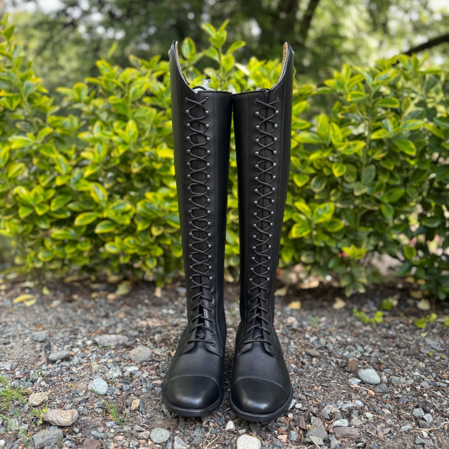 DeNiro Tricolore Ionio Dress Lace Up Tall Boot - Smooth Black