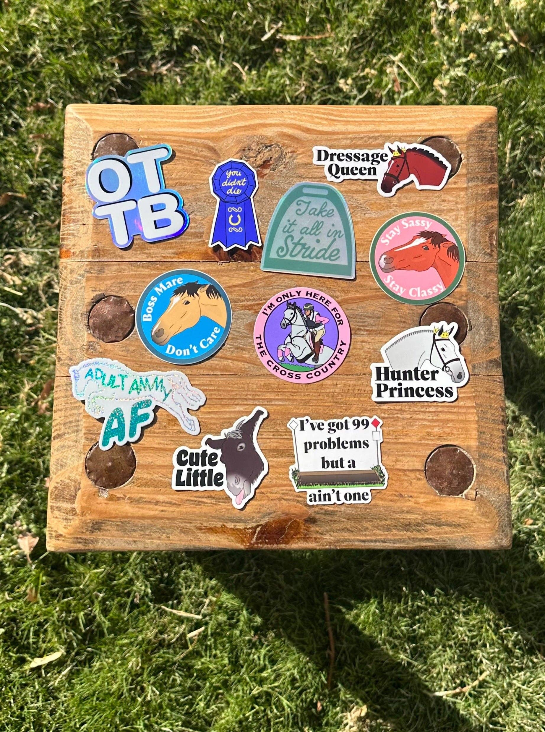 Hunter Princess Horse Sticker