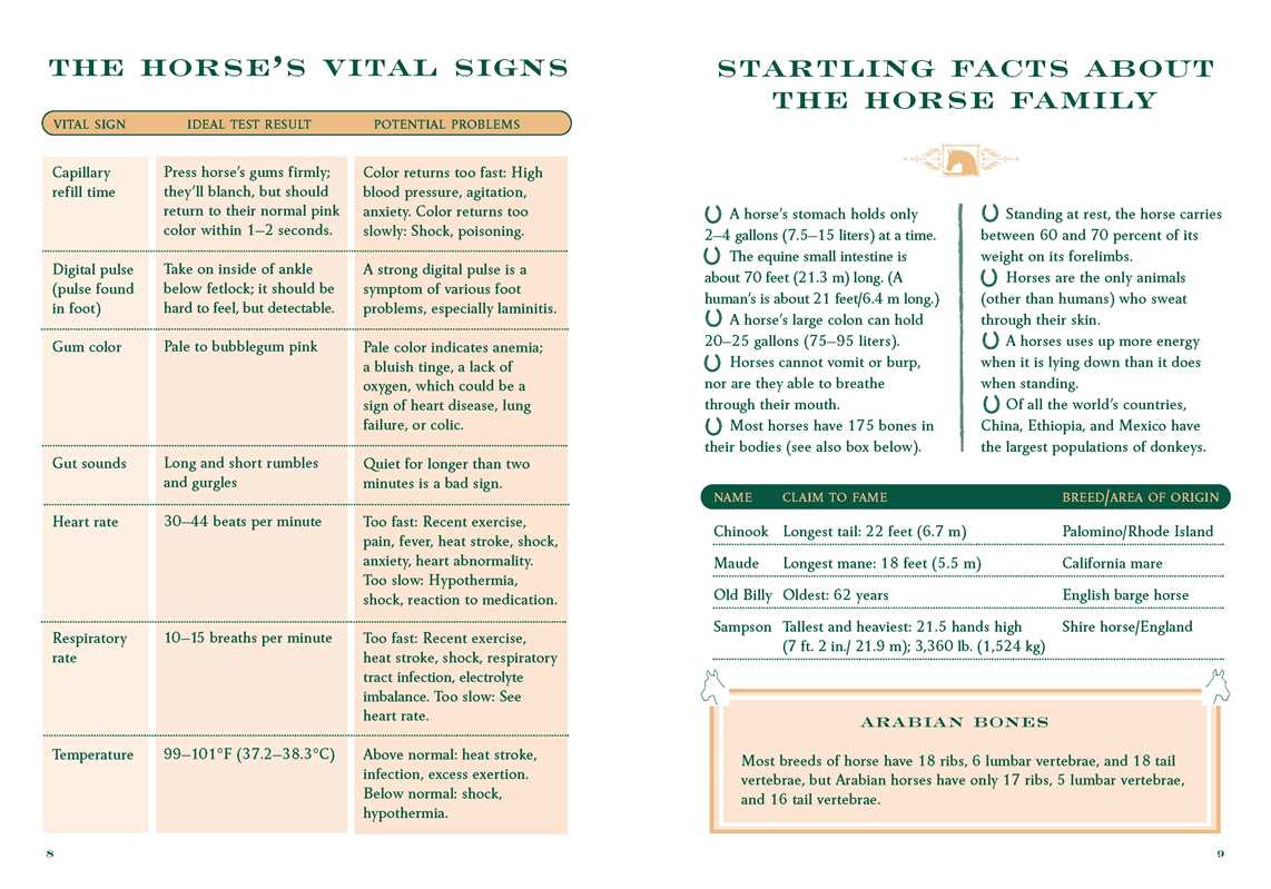 Little Book of Lore for Horse Lovers by Mary Frances Budzik