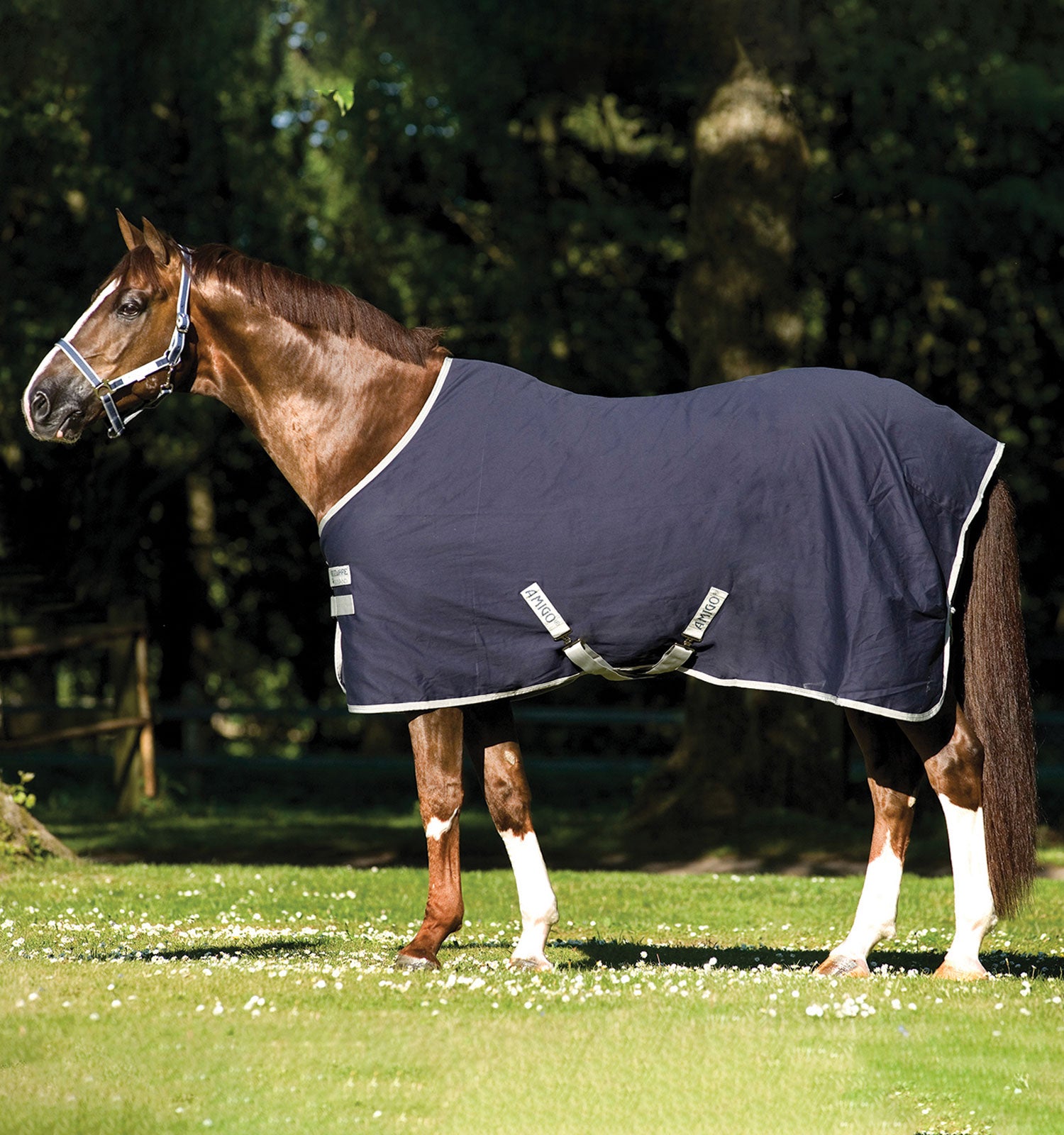 Horseware Amigo Stable Sheet