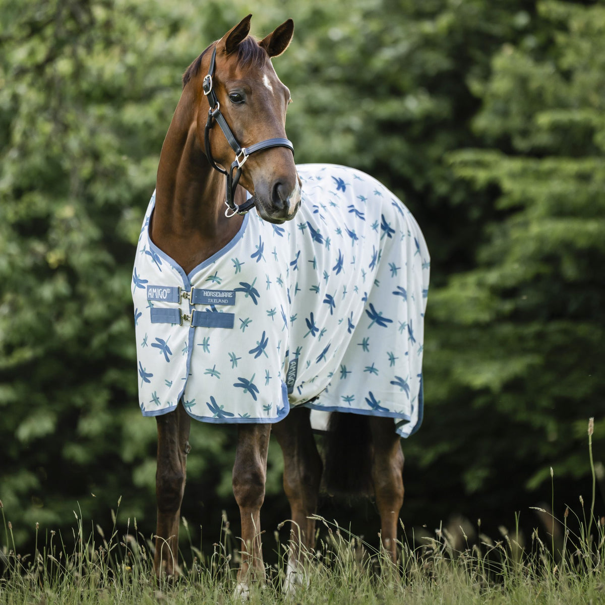 Amigo Bug Rug Fly Sheet – Olson's Tack Shop