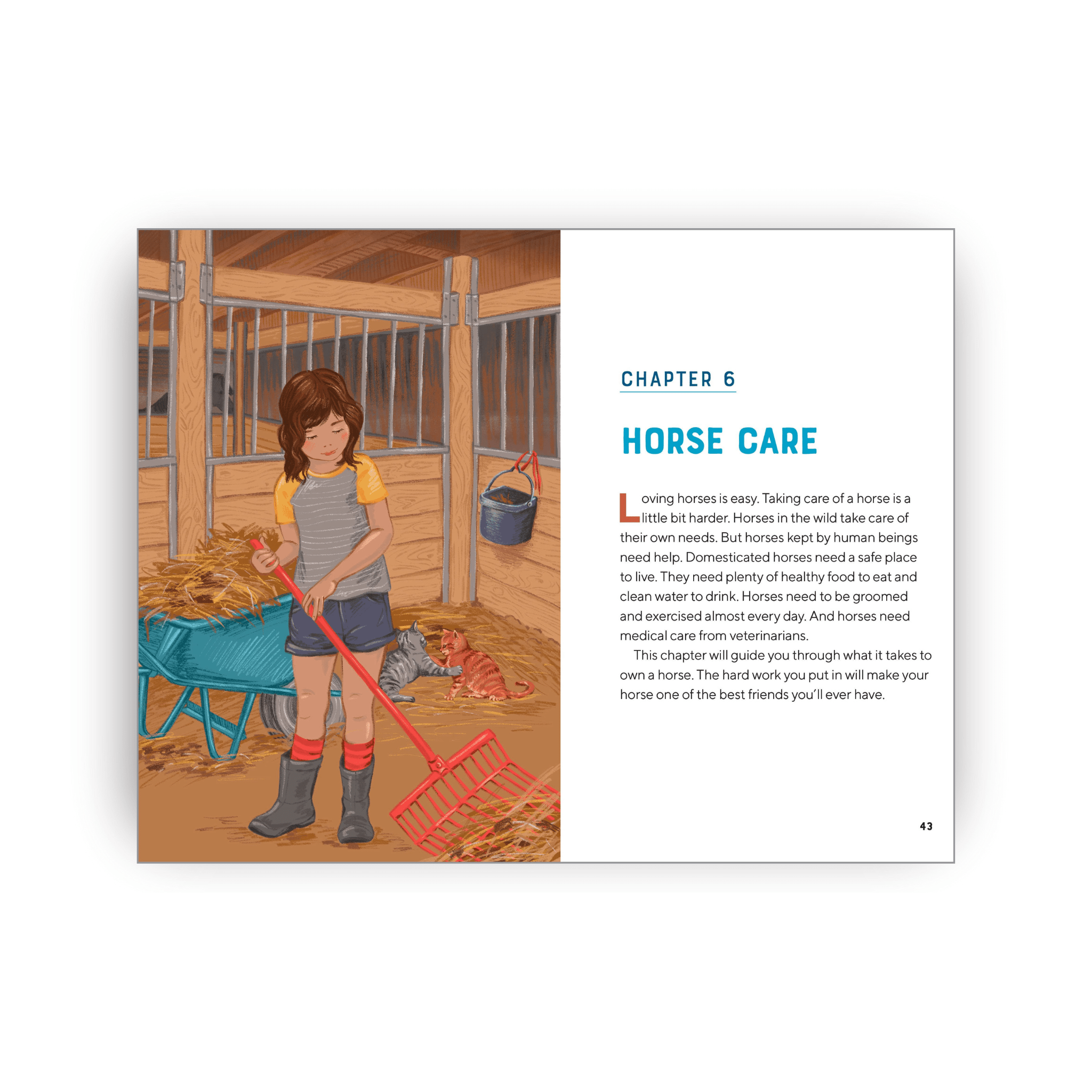 Illustration of a girl with a broom in a stable, with text about horse care on the right.