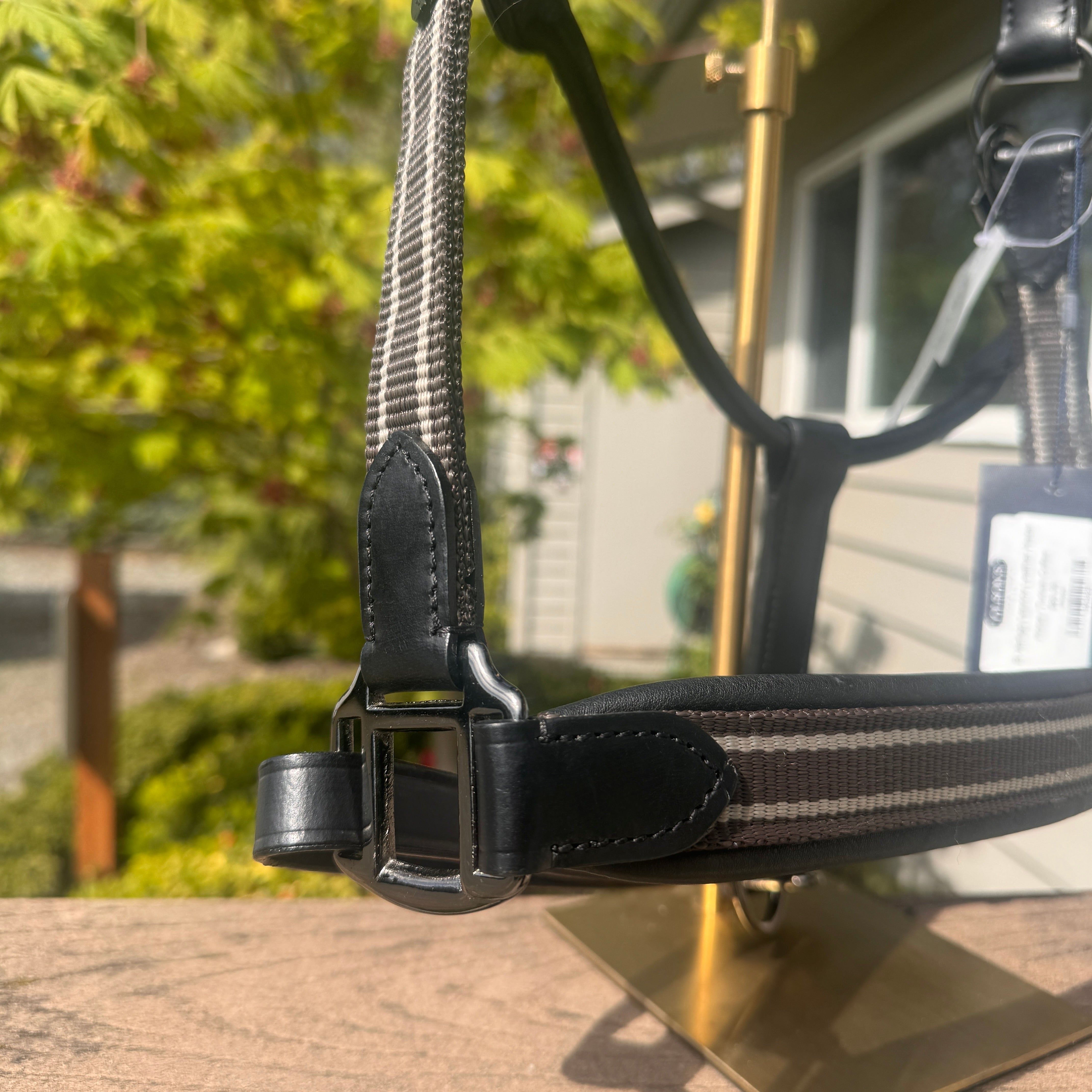 Close-up of a horse halter with a blurred outdoor background