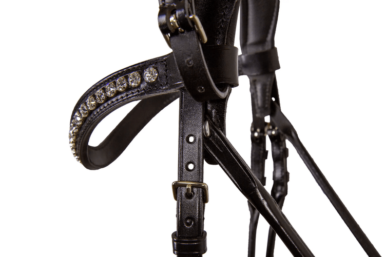 Close-up of a leather bridle adorned with rhinestones.