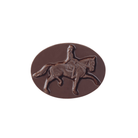 Bronze-colored metal badge with a horse and rider design on a white background