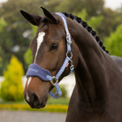 LeMieux Vogue Halter & Leadrope