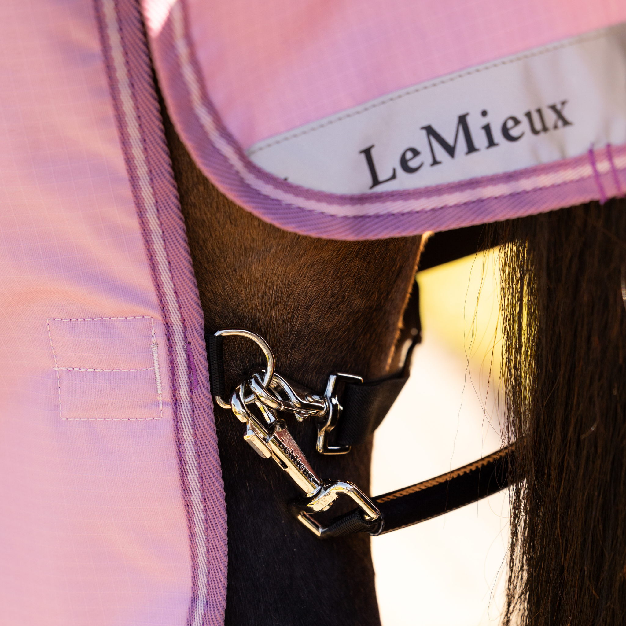 Lemieux Arika Ripstop Turnout Blanket