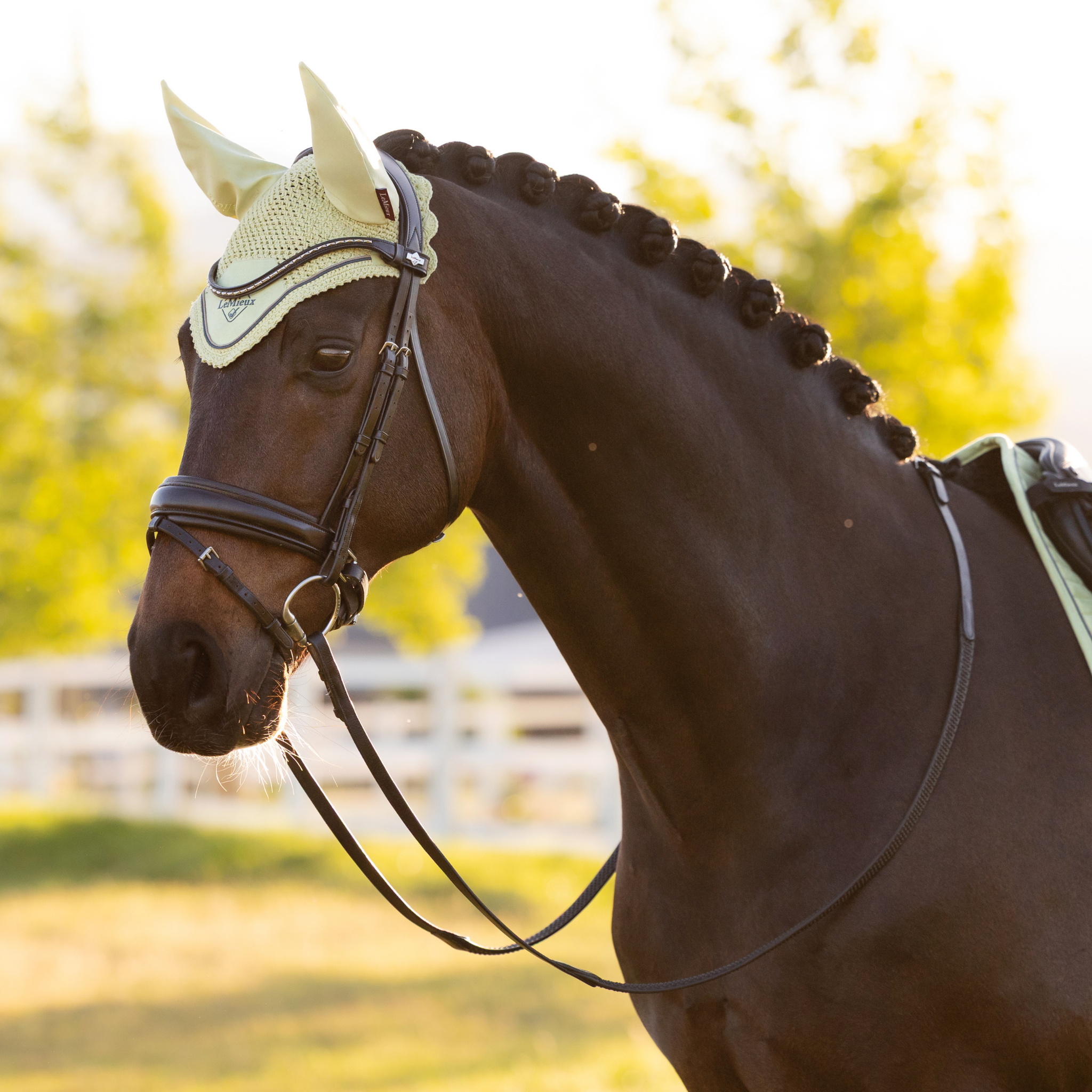 LeMieux Classic Ear Bonnet