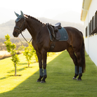 LeMieux Loire Classic Square Dressage Pad