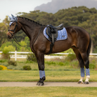 LeMieux Loire Classic Close Contact Square Pad