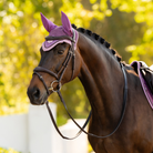 LeMieux Loire Ear Bonnet