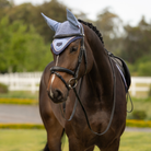 LeMieux Loire Ear Bonnet