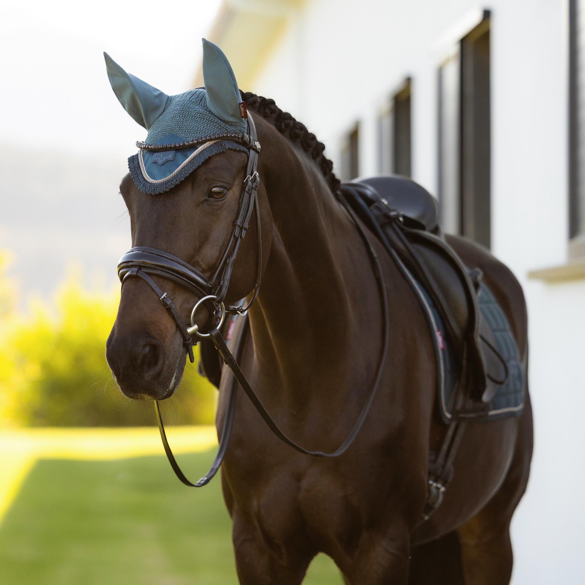 LeMieux Loire Ear Bonnet