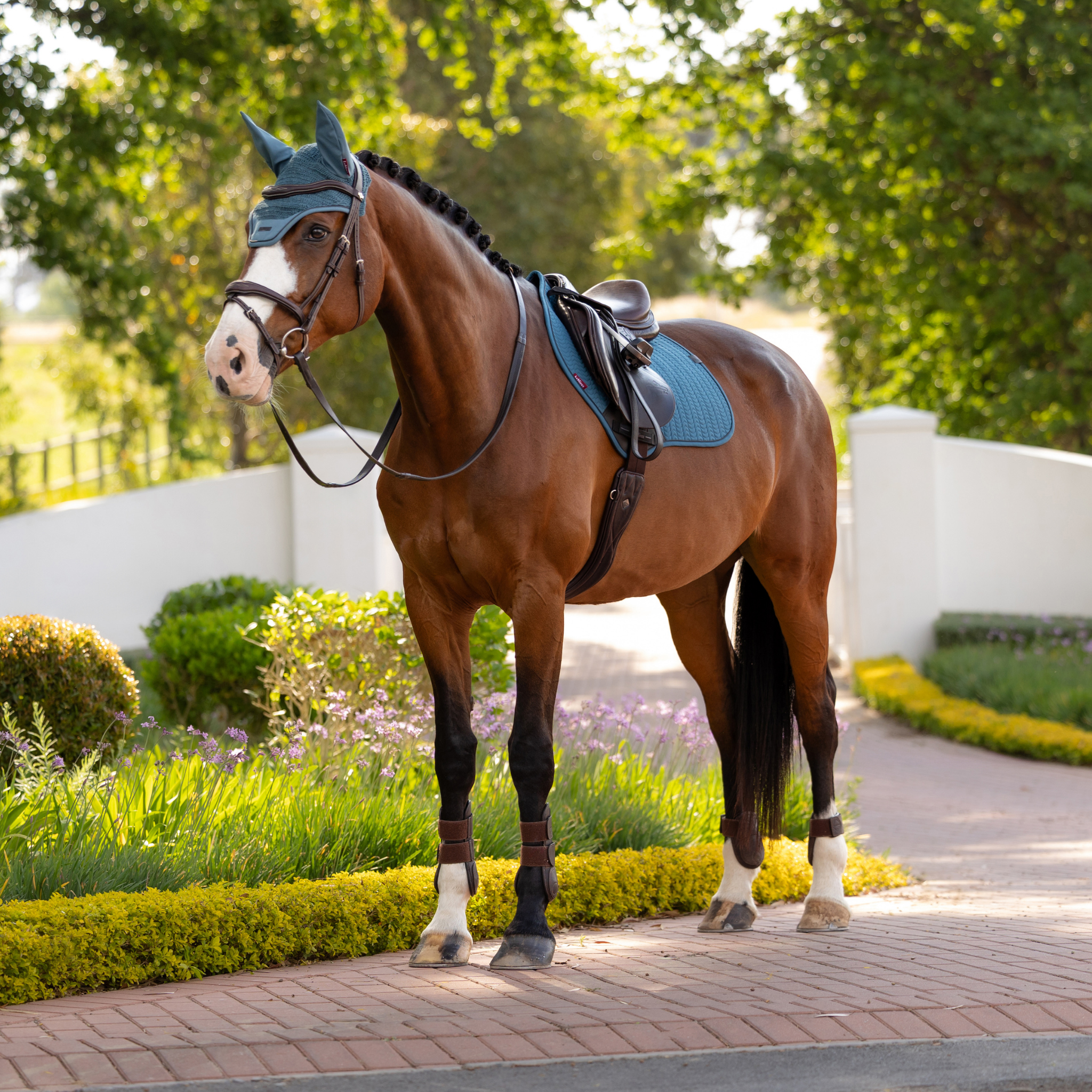 LeMieux Essence Close Contact Pad