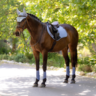 LeMieux Essence Close Contact Pad