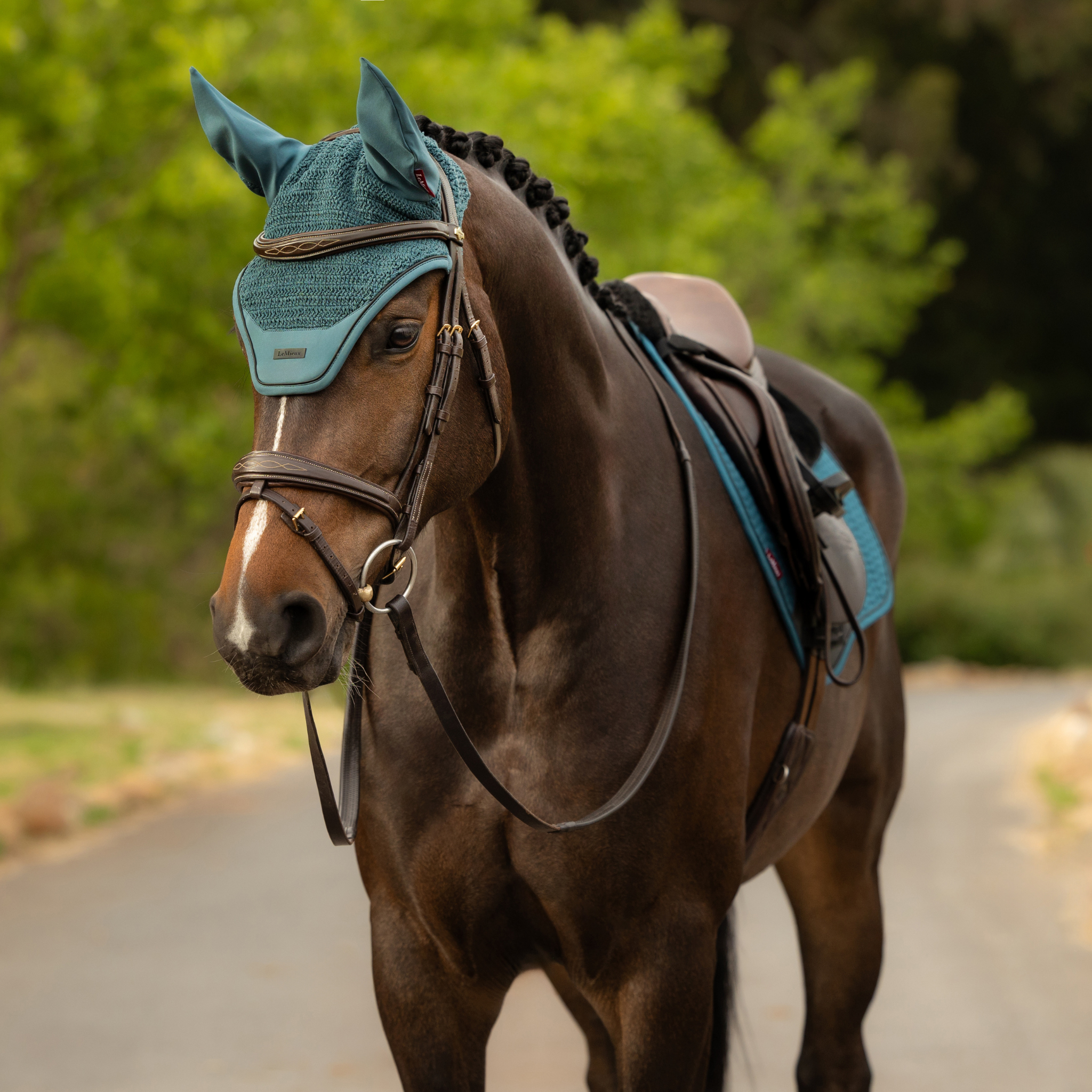 LeMieux Essence Ear Bonnet