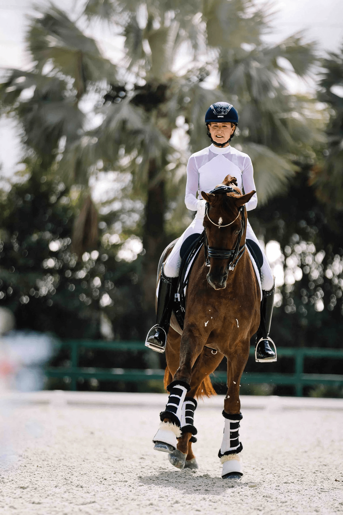 Kastel Elegant Power Mesh Show Shirt