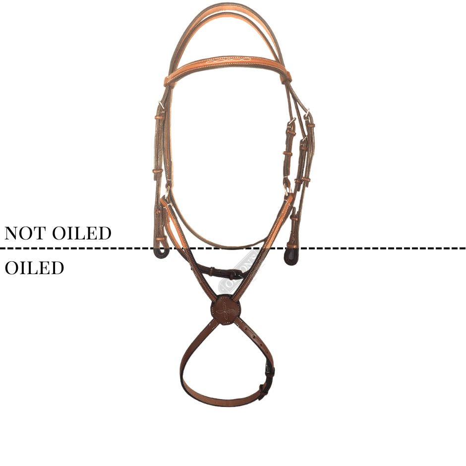 Edgewood Fancy Stitched Padded Figure 8 Bridle