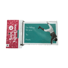 Equestrian Valentine Cards - Set of 10