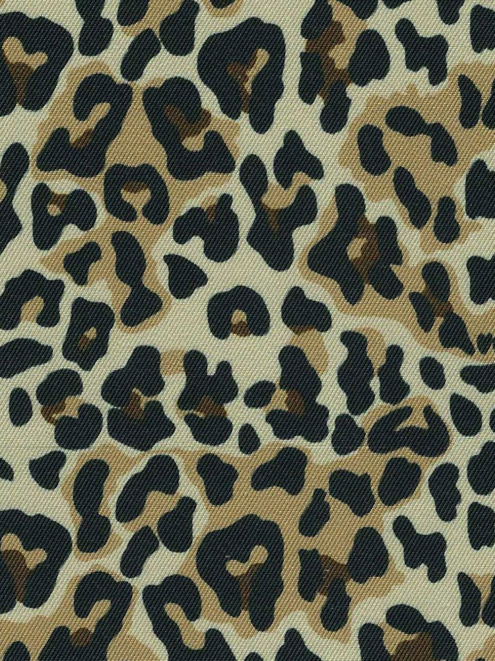 Essex Ladies Luna II Long Sleeve Show Shirt Leopard Collar