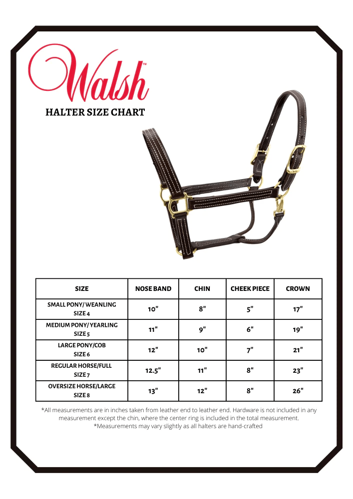 walsh size chart