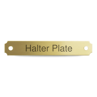 Halter Plate - Brass Notched