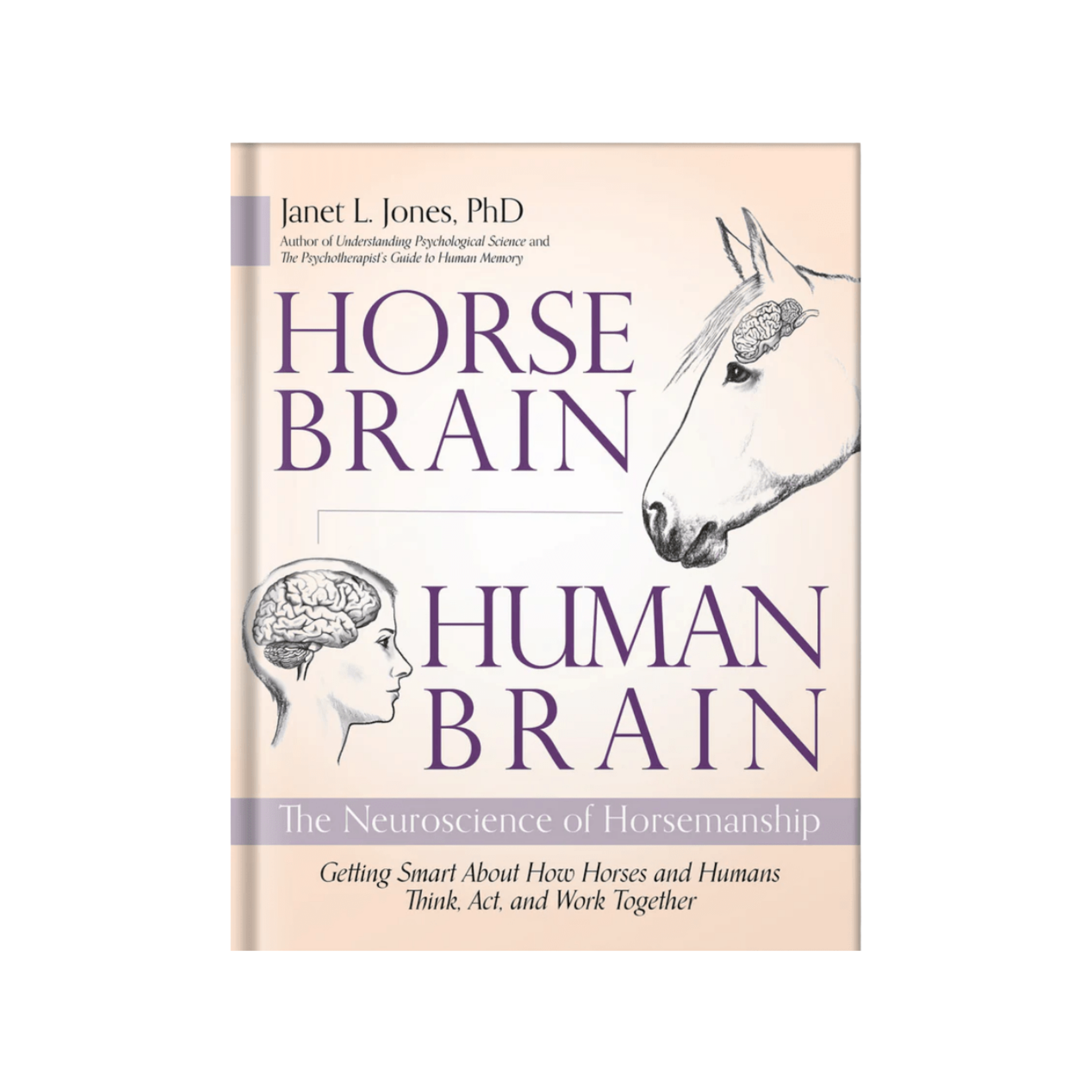 Book cover of 'Horse Brain, Human Brain' by Janet L. Jones on a white background