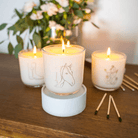 Citrus Spirit Soy Candle