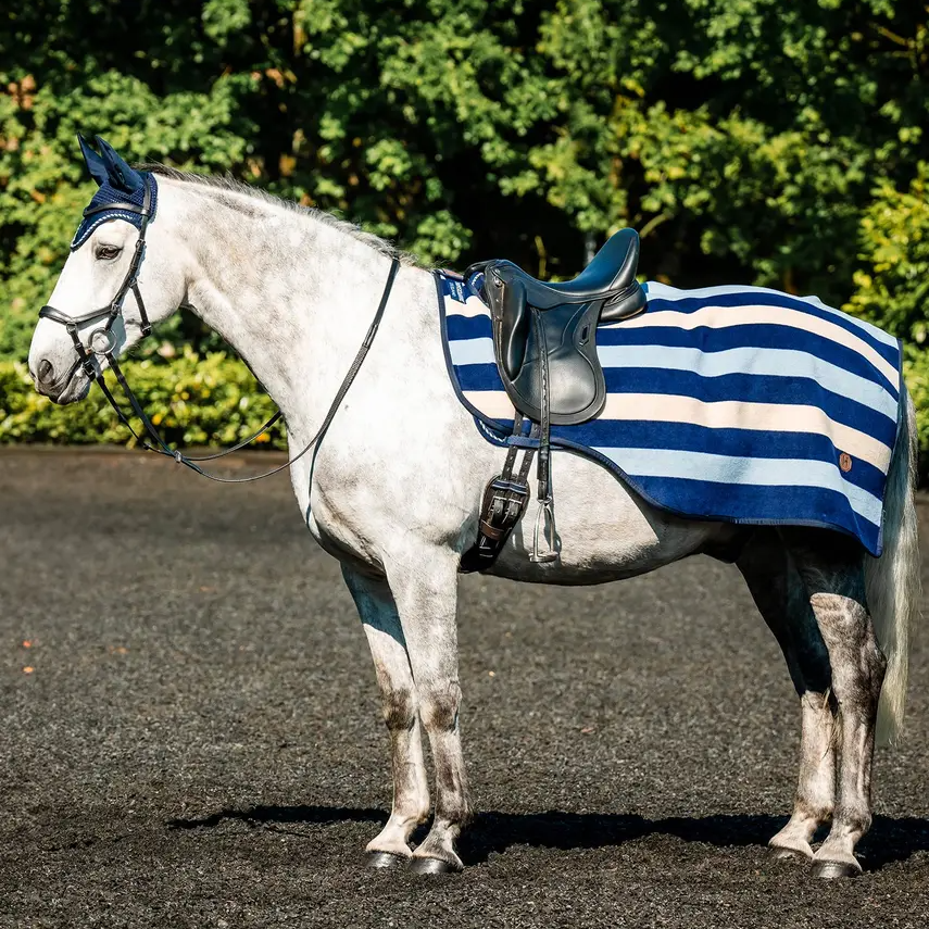 White horse wearing a blue and white striped saddle blanket on a paved path with greenery in the background