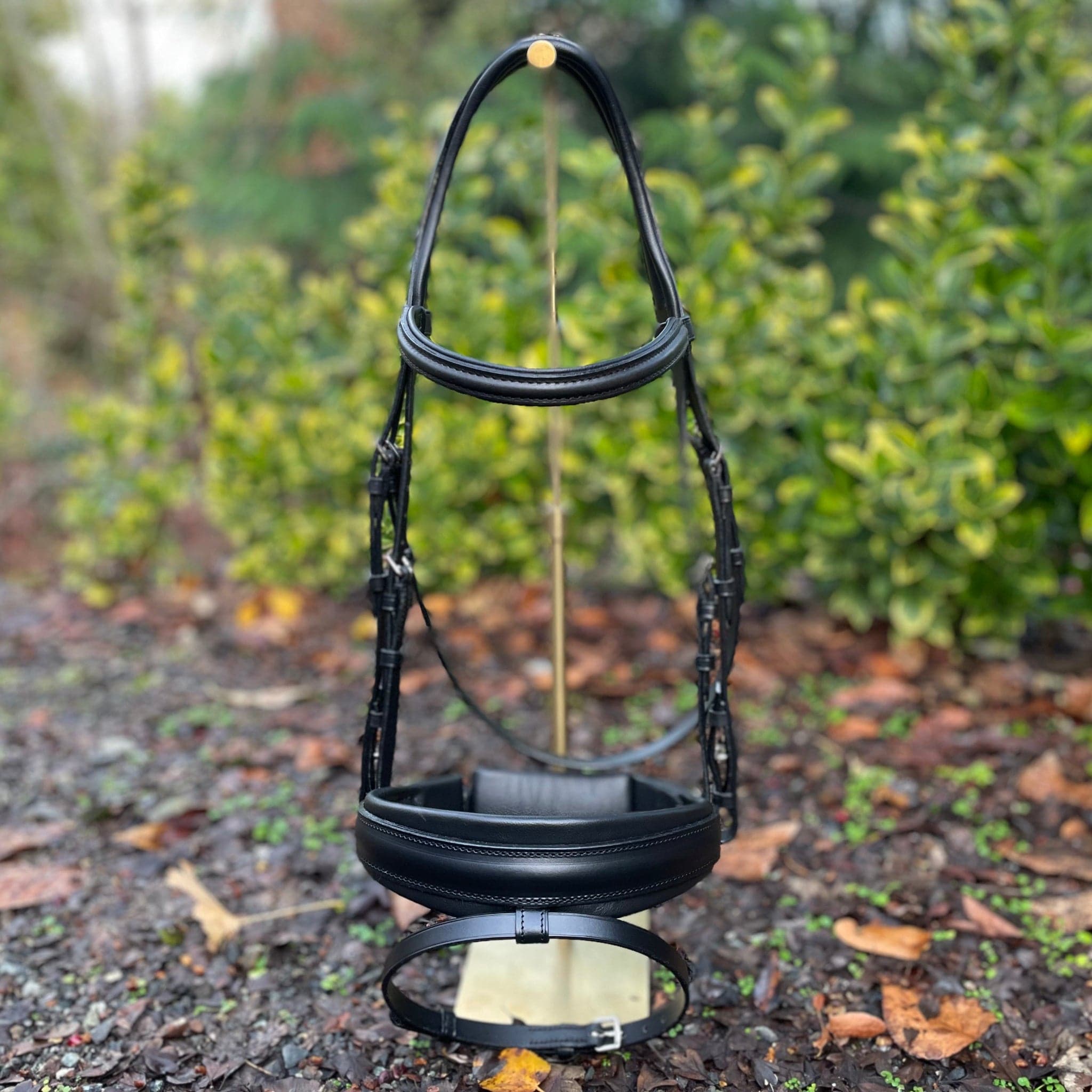 Otto Schumacher Elegant Snaffle Bridle 5cm Comfort XS