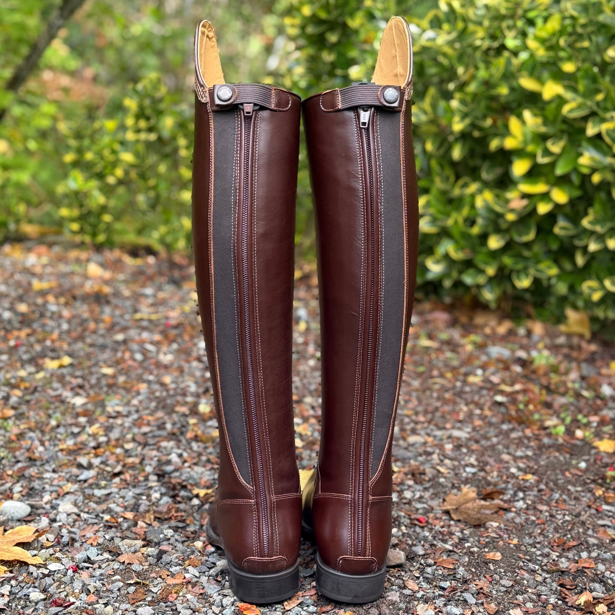 DeNiro Puro Duo Dressage Boot - Smooth Brown with Brown Regal & Golden Shadow 39 MA/M