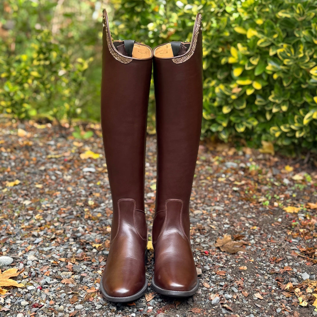 DeNiro Puro Duo Dressage Boot - Smooth Brown with Brown Regal & Golden Shadow 39 MA/M