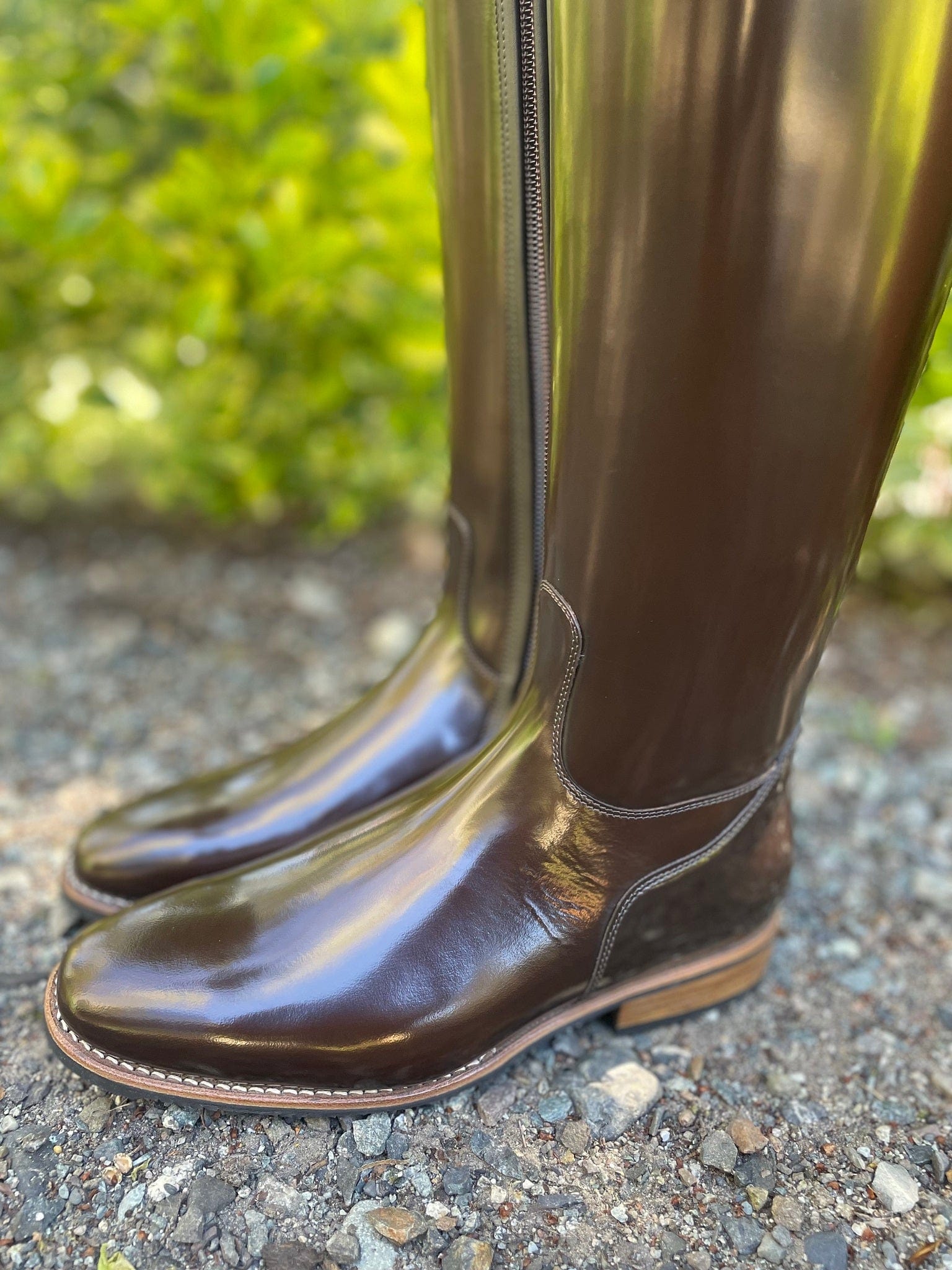 DeNiro Raffaello Dressage Boot - Brushed Fondente Brown with Rondine Dedalo & Swarovski
