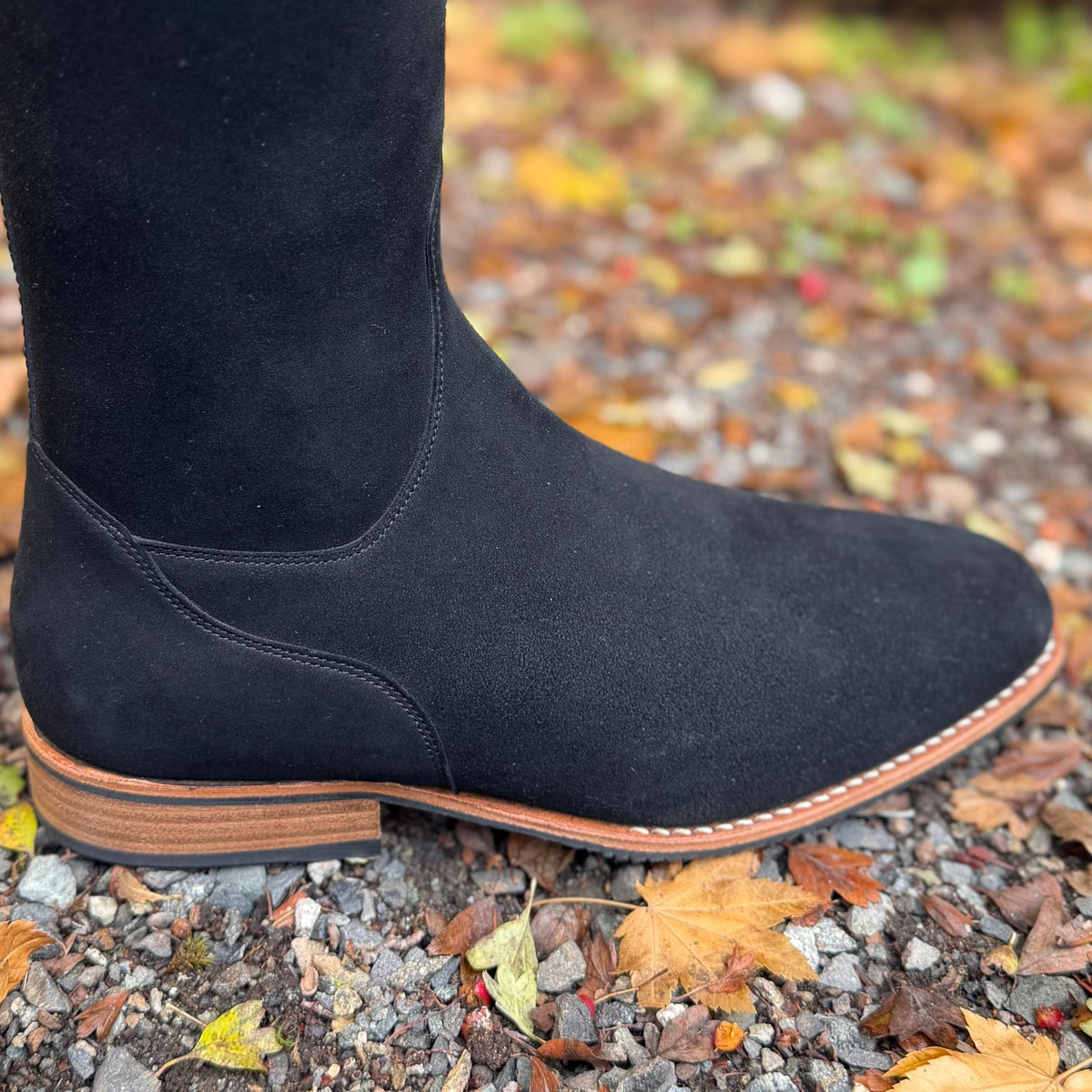 DeNiro Bellini Dressage Boot - Camoscio with Festosa Papiro Top