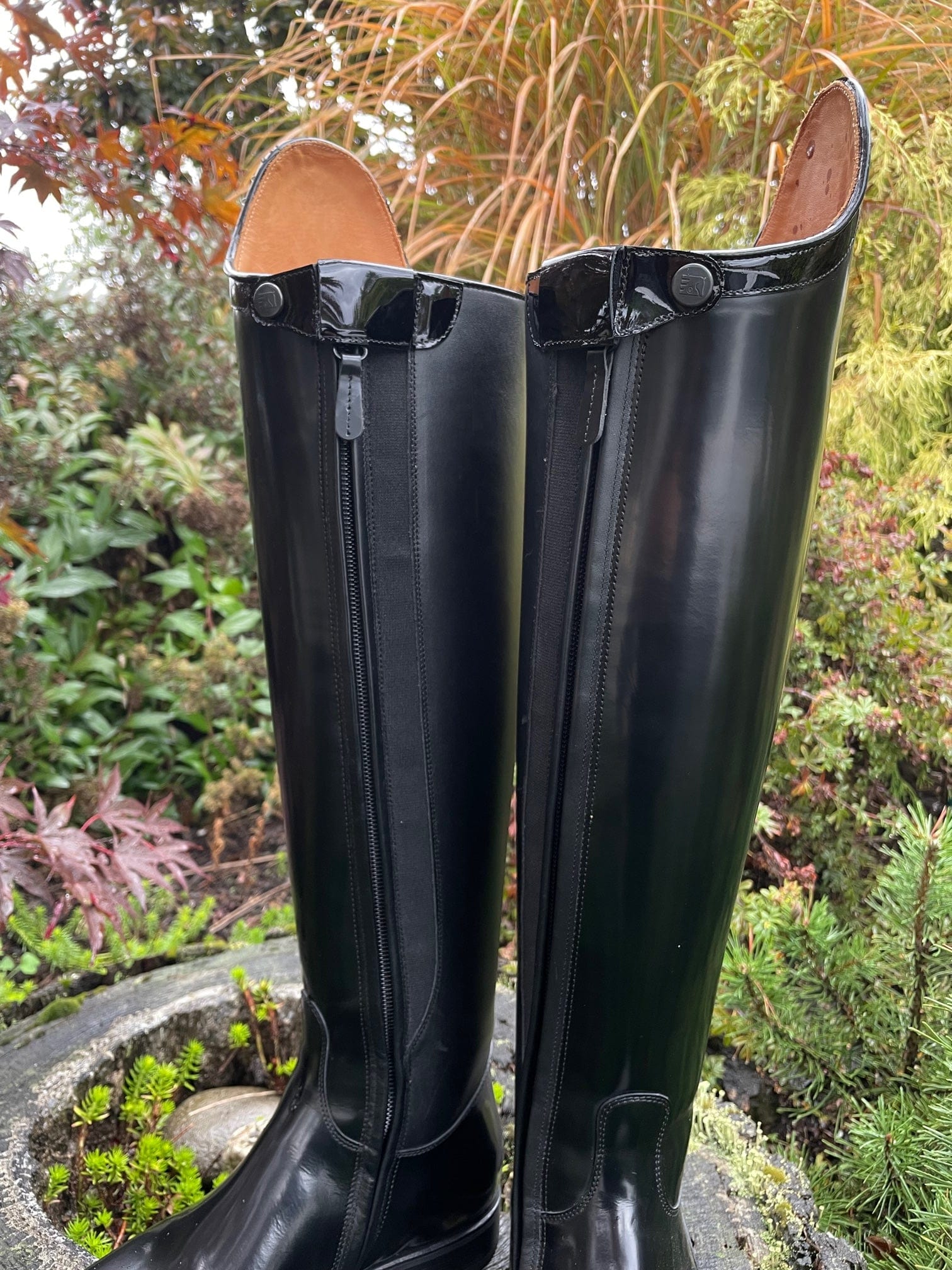 Custom DeNiro Raffaello Dressage Boot - Black Rondine Patent Comfort Edition